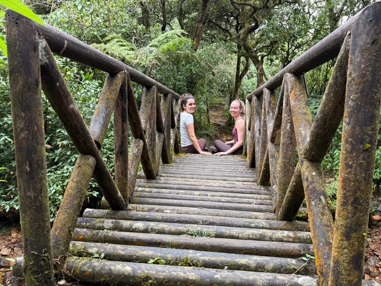 Guest landscape view 1